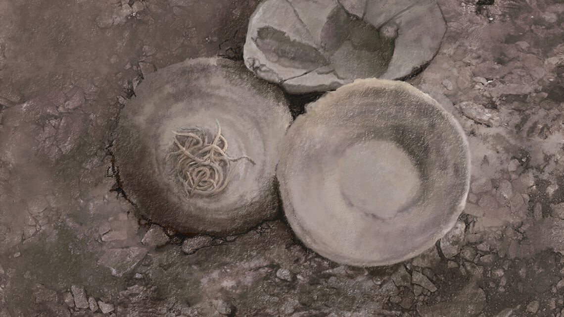 4,000 year-old bowl of noodles